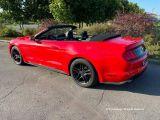 ������ - ������  Ford Mustang Cabrio - ���� ������� ���������